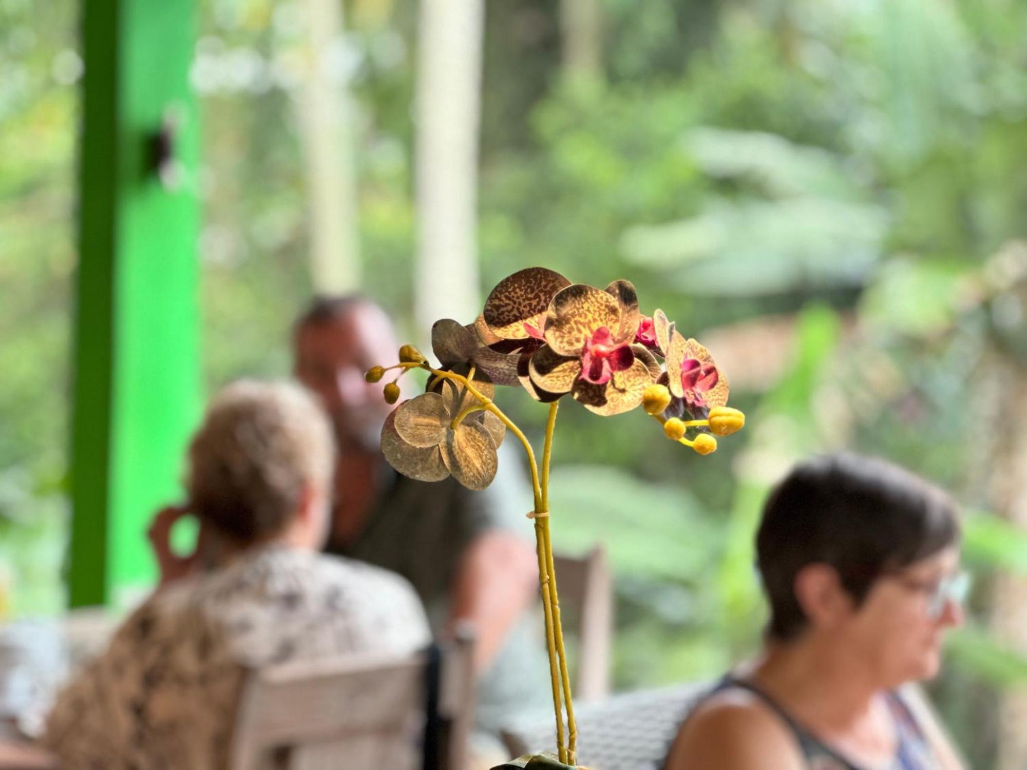 Dupa Ubud Екстериор снимка