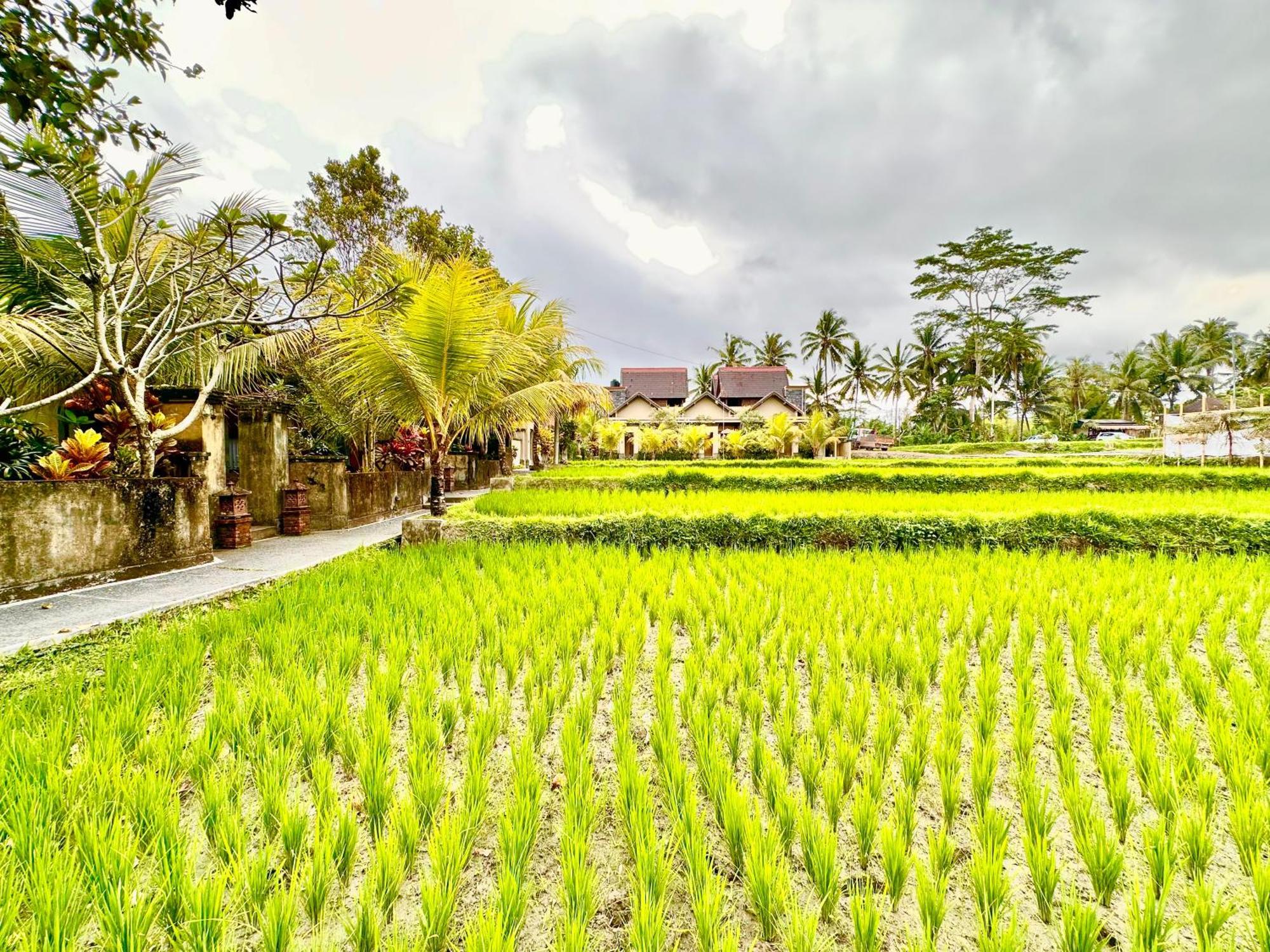 Dupa Ubud Екстериор снимка