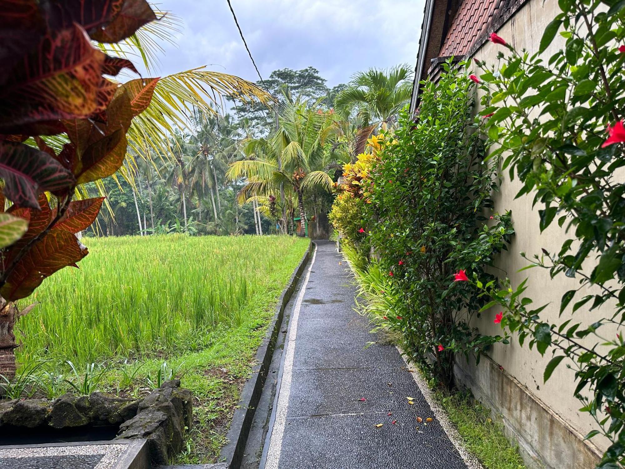 Dupa Ubud Екстериор снимка