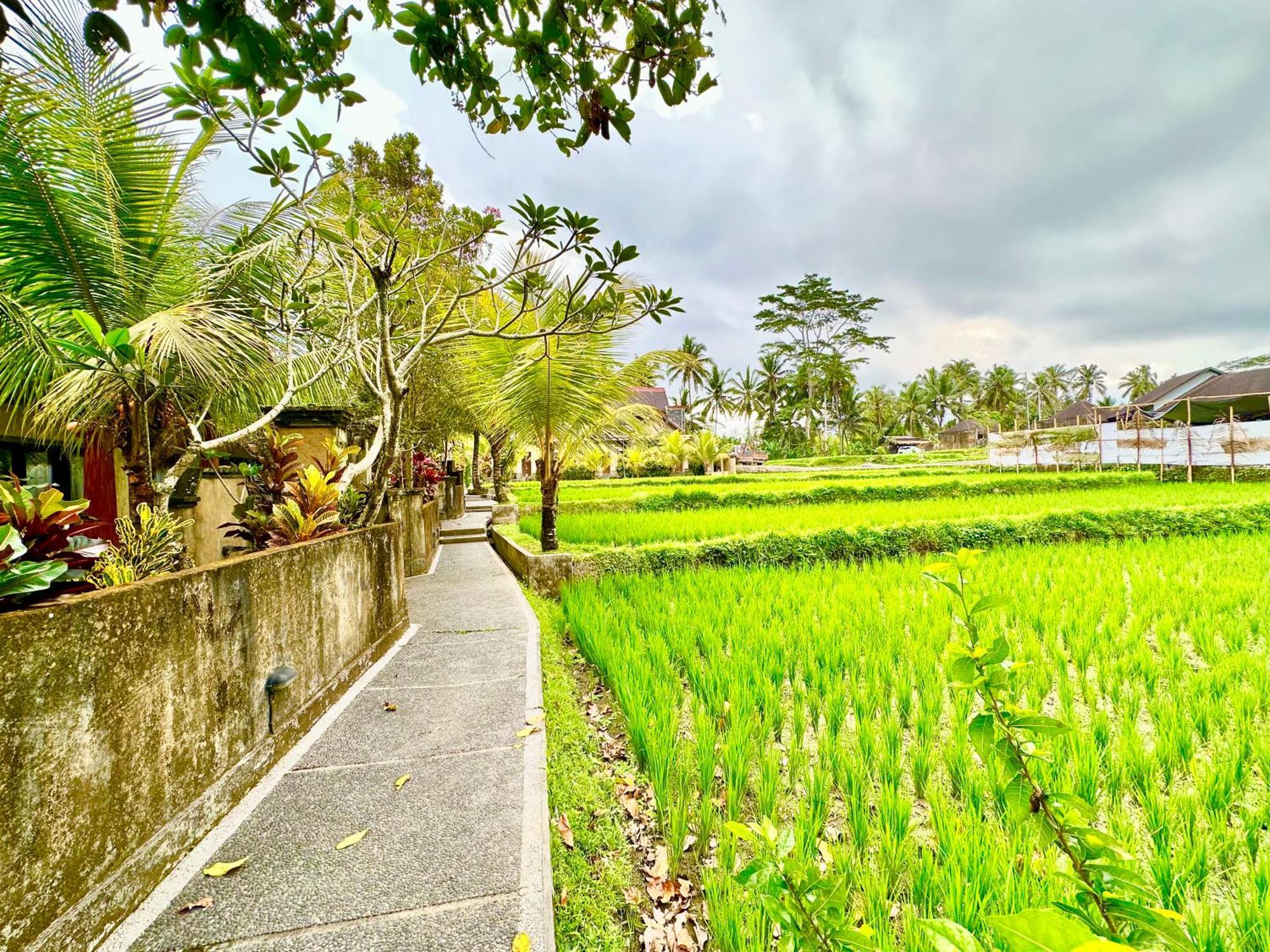 Dupa Ubud Екстериор снимка