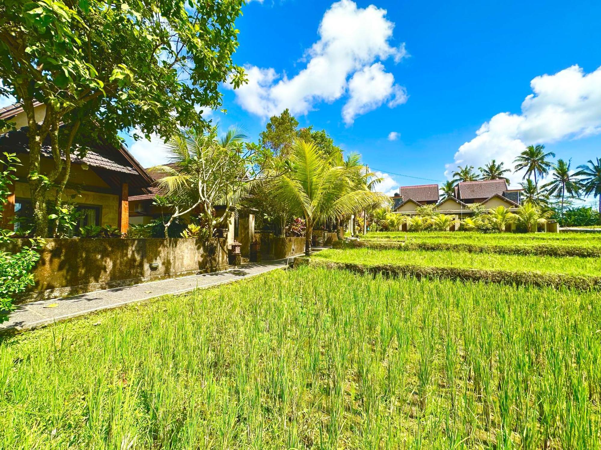 Dupa Ubud Екстериор снимка